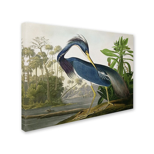 Trademark Fine Art 'Louisiana Heron' 35" x 47" Canvas Art (65dc919d00faa7808227755a_ud)