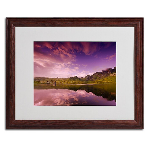 Trademark Fine Art 'Beyond the Sky II' 16" x 20" Wood Frame Art (65dca4d7f99b2575f686bca6_ud)