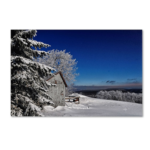 Trademark Fine Art LBR0267-C3047GG It's Got a Million Dollar View by Lois Bryan 30x47 FRMLS Art (65dca4e0f99b2575f686bcbe_ud)