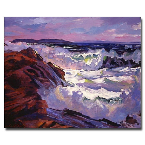 Trademark Fine Art 'Palos Verdes Beach' 35" x 47" Canvas Art (65dca51ff99b2575f686bd6c_ud)