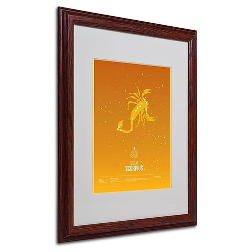 Trademark Fine Art 'Scorpio' 16" x 20" Wood Frame Art (65dca574f99b2575f686be1a_ud)