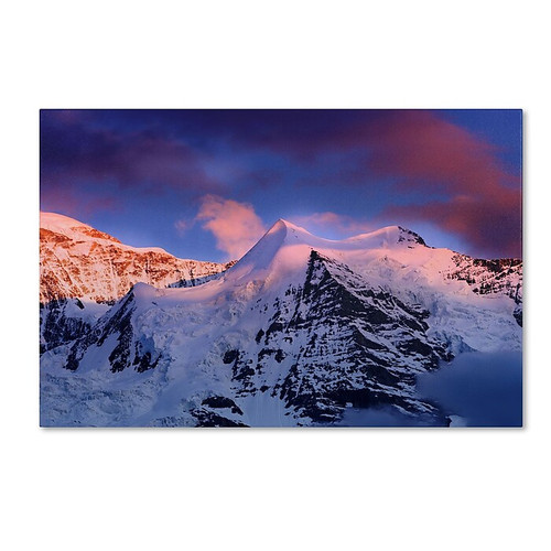 Trademark Fine Art PSL0322-C3047GG "Sunset Celebration" by Philippe Sainte-Laudy 30" x 47" FRMLS Art (65dca5d7f99b2575f686bf1a_ud)