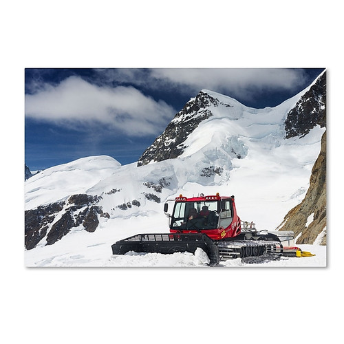 Trademark Fine Art PSL0325-C2232GG "Top of Switzerland" by Philippe Sainte-Laudy 22" x 32" FRMLS Art (65dca5fff99b2575f686bf96_ud)