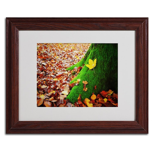Trademark Fine Art 'The Armor of Soul' 11" x 14" Wood Frame Art (65dca6b2f99b2575f686c12c_ud)