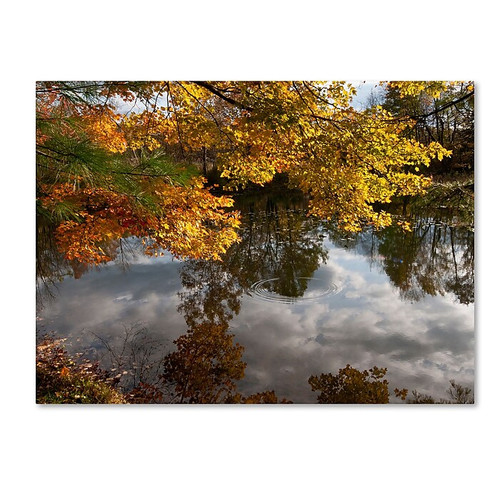Trademark Fine Art KS0135-C3547GG Kendal Lake Autumn Reflection by Kurt Shaffer 35x47 FRMLS Art (65dca6c5f99b2575f686c174_ud)