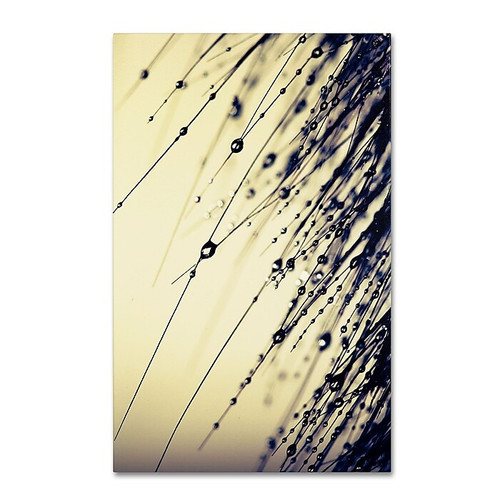 Trademark Fine Art BC0135-C1219GG "Music of Yesterday" by Beata Czyzowska Young 19" x 12" FRMLS Art (65dca6cdf99b2575f686c184_ud)