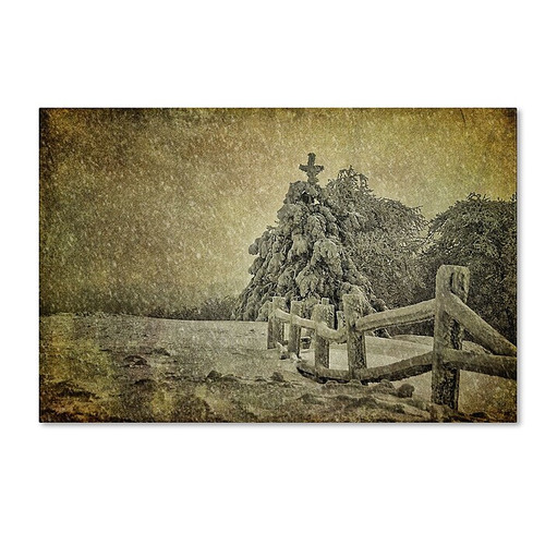 Trademark Fine Art LBR0273-C3047GG "Oh Christmas Tree in Snow" by Lois Bryan 30" x 47" Frameless Art (65dca6fbf99b2575f686c1f2_ud)