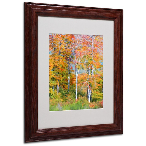 Trademark Fine Art 'The Line it Curves' 11" x 14" Wood Frame Art (65dca798f99b2575f686c38c_ud)