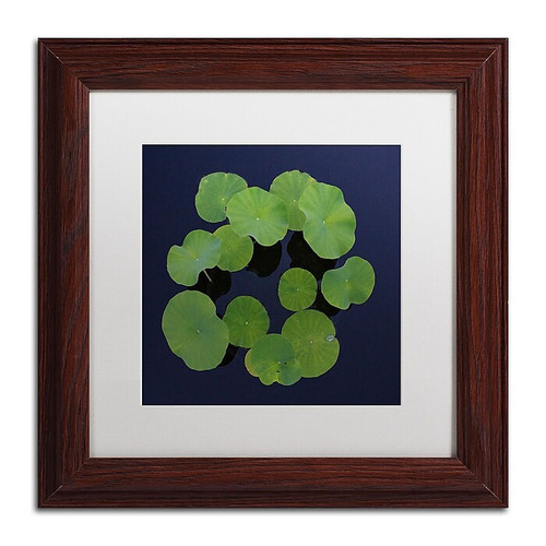 Trademark Fine Art KS0175-W1111MF Giant Lily Pad Abstract by Kurt Shaffer 11x11 FRM Art, WHT MTD (65dca7a0f99b2575f686c3a8_ud)