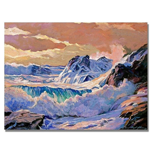 Trademark Fine Art 'Storm on Pacific Coast' 24" x 32" Canvas Art (65dca7adf99b2575f686c3d4_ud)