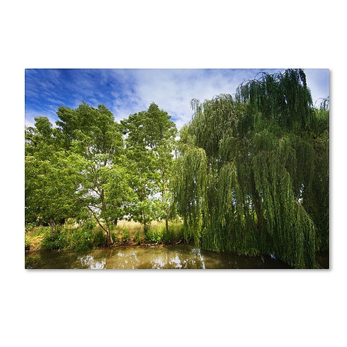 Trademark Fine Art PSL0327-C1624GG "Waterhole" by Philippe Sainte-Laudy 16" x 24" Frameless Art (65dca886f99b2575f686c634_ud)