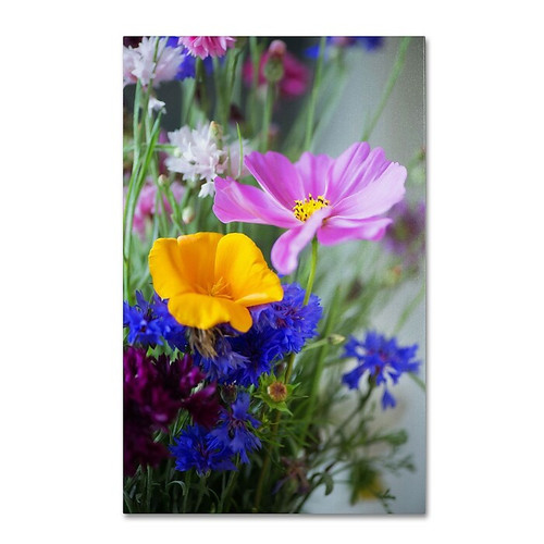 Trademark Fine Art PSL0334-C1219GG "Cosmo Duo" by Philippe Sainte-Laudy 19" x 12" Frameless Art (65dca8abf99b2575f686c69c_ud)