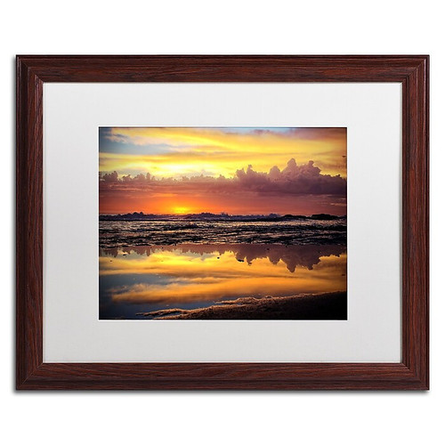 Trademark Fine Art BC0132-W1620MF "Morning Reflections" by Beata Czyzowska Young 16" x 20" FRM Art (65dca8b7f99b2575f686c6a2_ud)