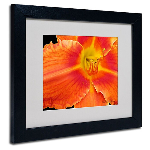 Trademark Fine Art Kathie McCurdy 'Orange Day Lily' Matted Art Black Frame 11x14 Inches (65dcb5bff638b16909619869_ud)