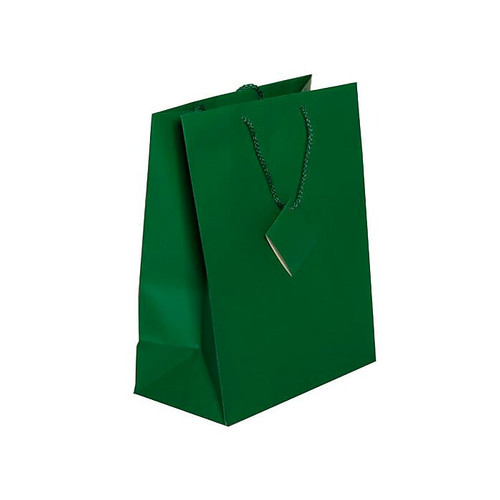 JAM PAPER Gift Bags with Rope Handles, Large, 10 x 13 x 5, Green Matte, 3/Pack (673MAGRA)