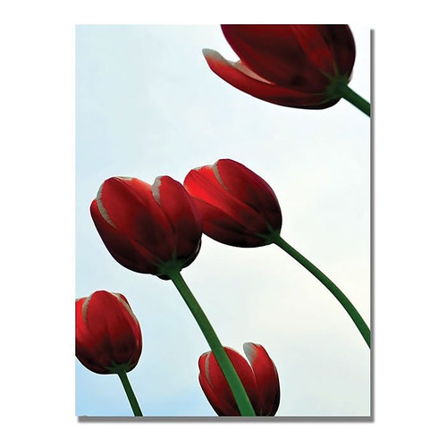 Trademark Global Michelle Calkins "Red Tulips from the Bottom Up" Canvas Art, 47" x 30" (65dcb91af638b1690961a1ef_ud)