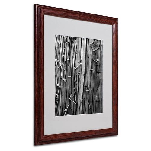Trademark Fine Art 'Nails & Staples' 16" x 20" Wood Frame Art (65dcc4f1e0870eb6e1382c71_ud)