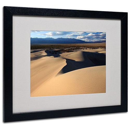 Trademark Fine Art 'Sand Dunes' 16" x 20" Black Frame Art (65dcc4f2e0870eb6e1382c75_ud)
