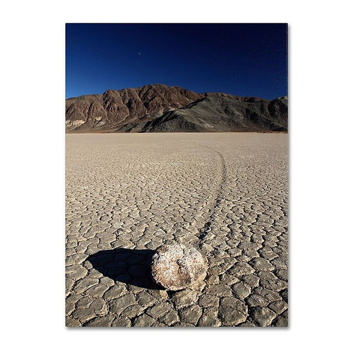 Trademark Fine Art 'Race Track' 14" x 19" Canvas Art (65dcc5a7e0870eb6e1382ead_ud)