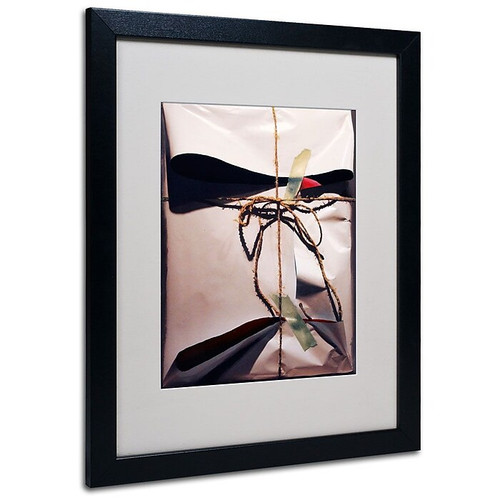Trademark Fine Art 'White Wrap With Twine' 16" x 20" Black Frame Art (65dcc5f0e0870eb6e1382f9b_ud)