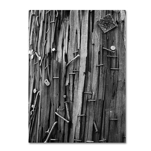 Trademark Fine Art 'Nails & Staples' 14" x 19" Canvas Art (65dcc80de0870eb6e1383665_ud)