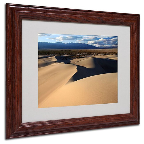 Trademark Fine Art 'Sand Dunes' 11" x 14" Wood Frame Art (65dcc906e0870eb6e13839b9_ud)
