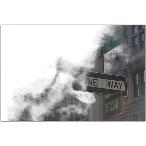 Trademark Global Yale Gurney "One Way" Canvas Art, 14" x 19" (65dcf168e8837636b119fd23_ud)