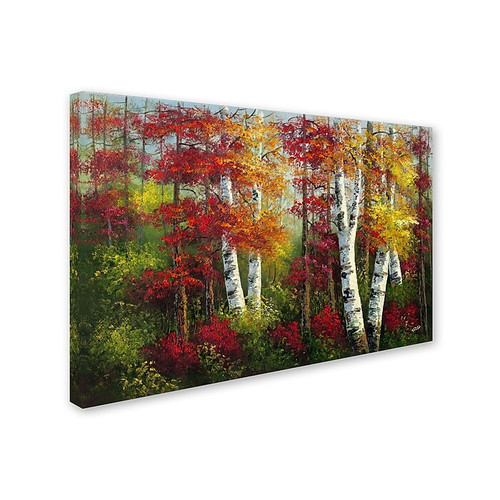 Trademark Rio "Indian Summer" Gallery-Wrapped Canvas Art, 12" x 19" (65dcf193e8837636b119ff2d_ud)