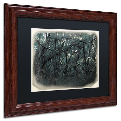 Trademark Patty Tuggle "Forest Dreams" Art, Black Matte With Wood Frame, 11" x 14" (65dcf1a0e8837636b119ffe5_ud)
