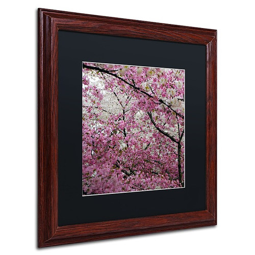 Trademark CATeyes "Cherry Blossoms 2014-3" Art, Black Matte W/Wood Frame, 16" x 16" (65dcf1cfe8837636b11a0233_ud)