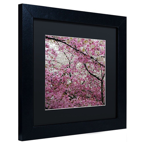 Trademark CATeyes "Cherry Blossoms 2014-3" Art, Black Matte W/Black Frame, 11" x 11" (65dcf1efe8837636b11a0395_ud)