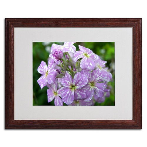 Trademark Monica Fleet "Lambent Glow" Art, White Matte W/Wood Frame, 16" x 20" (65dcf1f0e8837636b11a03af_ud)