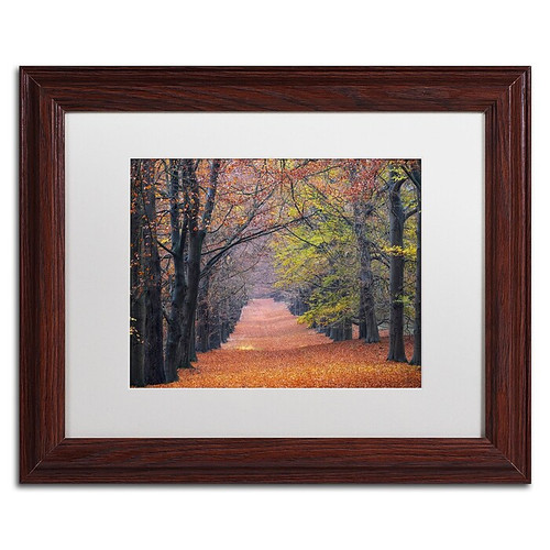 Trademark Fine Art Cora Niele 'Beech Lane' 11" x 14" Matted Framed (190836315925)