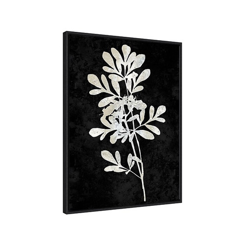 Amanti Art Plant Life White on Black II, Canvas, 23" x 30" (A42675515283)
