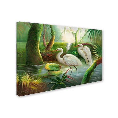 Trademark Victor Giton "Two Herons" Gallery-Wrapped Canvas Art, 30" x 47" (65dcf230e8837636b11a06a0_ud)