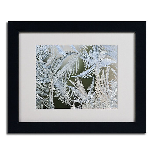 Trademark Kurt Shaffer "Frost Pattern #1" Art, White Matte With Black Frame, 11" x 14" (65dcf259e8837636b11a08a7_ud)