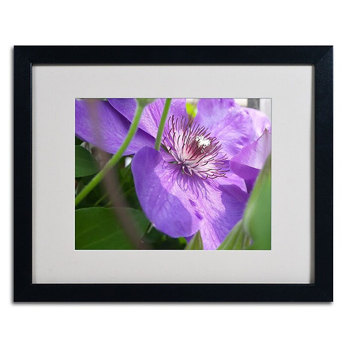 Trademark Monica Fleet "Meaningful Bliss" Art, White Matte W/Black Frame, 16" x 20" (65dcf25ae8837636b11a08bc_ud)