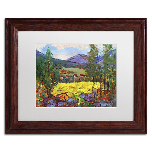 Trademark Fine Art ''Gilded Glade'' by Manor Shadian 11" x 14" White Matted Wood Frame (MA0619-W1114MF)