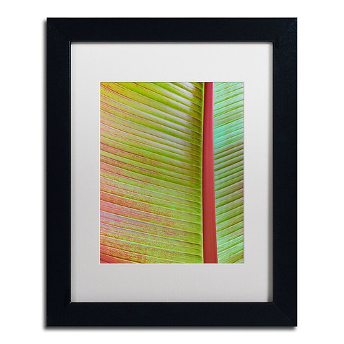 Trademark Fine Art Cora Niele 'Leaf Texture VI' 11" x 14" Matted Framed (190836314829)
