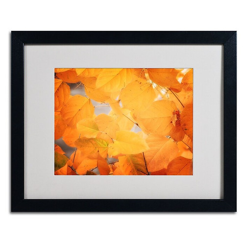 Trademark Philippe Sainte-Laudy "Seasonal Leaves" Art, White Matte With Black Frame, 16" x 20" (65dcf298e8837636b11a0c03_ud)