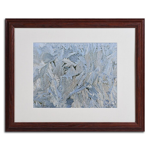 Trademark Kurt Shaffer "Frost Pattern #6" Art, White Matte W/Wood Frame, 16" x 20" (65dcf2b2e8837636b11a0d50_ud)