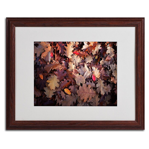 Trademark Philippe Sainte-Laudy "Goofy Leaves" Art, White Matte With Wood Frame, 16" x 20" (65dcf2b2e8837636b11a0d52_ud)