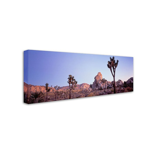 Trademark David Evans "Mojave Glow-Joshua Tree NP" Gallery-Wrapped Canvas Art, 6" x 19" (65dcf308e8837636b11a1141_ud)