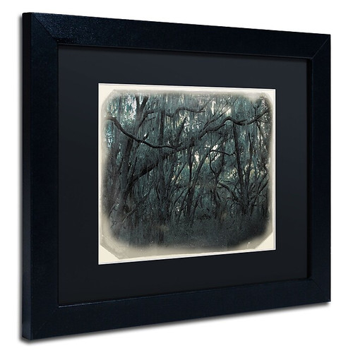 Trademark Patty Tuggle "Forest Dreams" Art, Black Matte With Black Frame, 11" x 14" (65dcf322e8837636b11a127a_ud)
