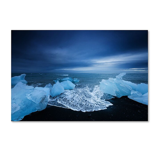 Trademark Fine Art Philippe Sainte-Laudy 'Blue Day' 12" x 19" Canvas Stretched Art Print (190836286041)