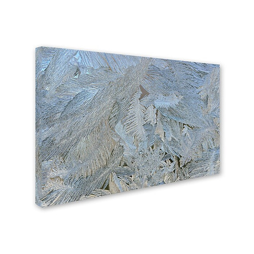Trademark Kurt Shaffer "Frost Pattern #5" Gallery-Wrapped Canvas Art, 22" x 32" (65dcf358e8837636b11a1495_ud)