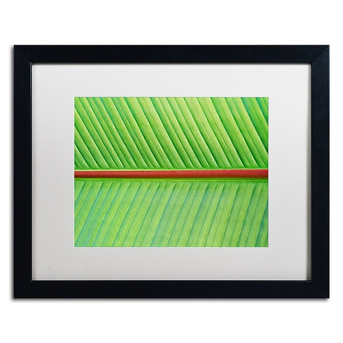 Trademark Fine Art Cora Niele 'Leaf Texture V' 16" x 20" Matted Framed (190836314690)