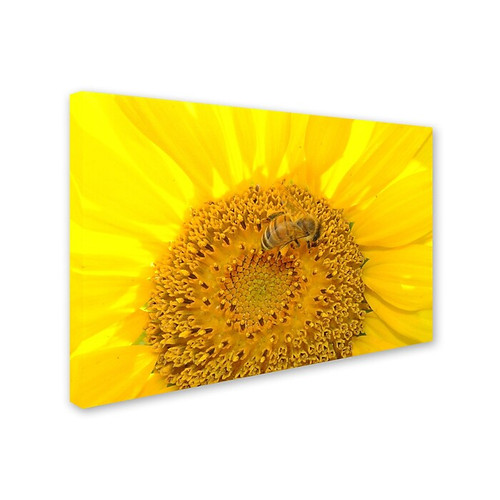 Trademark Monica Fleet "Honey-Maker" Gallery-Wrapped Canvas Art, 16" x 24" (65dcf36fe8837636b11a14f0_ud)