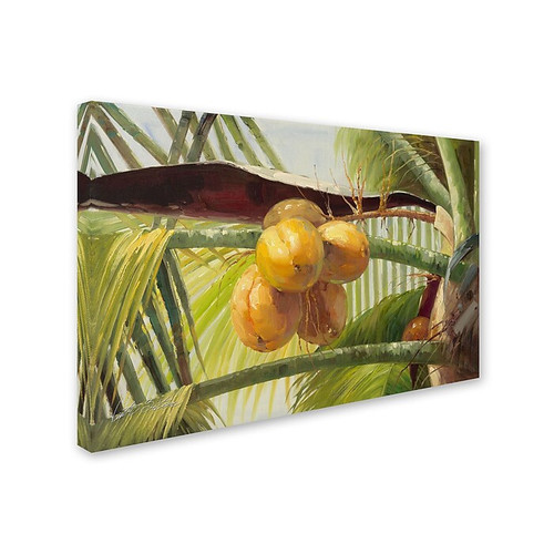 Trademark Victor Giton "Coconut Palm I" Gallery-Wrapped Canvas Art, 12" x 19" (65dcf36fe8837636b11a1505_ud)