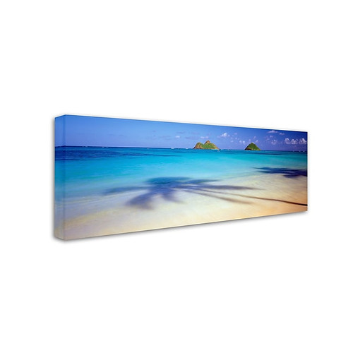 Trademark David Evans "Mokulua-Hawaii" Gallery-Wrapped Canvas Art, 8" x 24" (65dcf37be8837636b11a152b_ud)